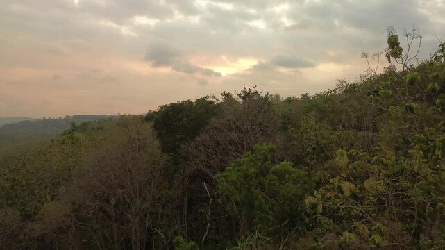 4k footage of forest with beautiful evening sky