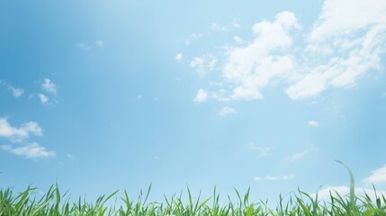 A serene landscape with green grass under a bright blue sky filled with fluffy clouds.