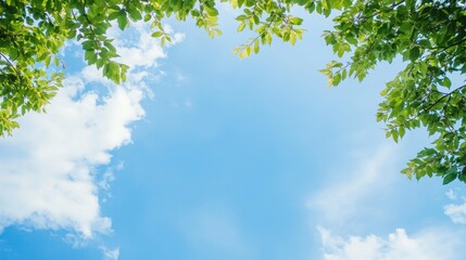 Obraz premium A serene view of the sky framed by lush green leaves.
