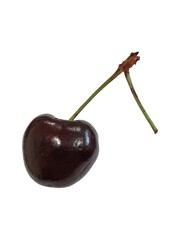 Cherry isolated on white background. 
