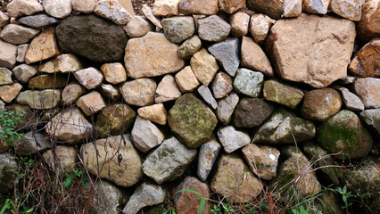 A simple stone wall structure decorated with green moss and wild plants, used to hold agricultural land from sliding.