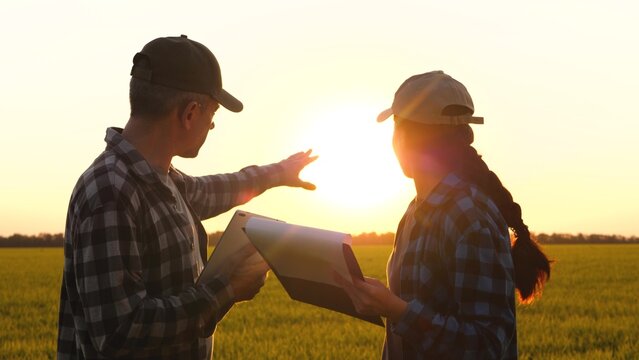 farmers cooperation. farmers wheat in field work discussion collaboration. farm with tablet and documents. teamwork in Agriculture