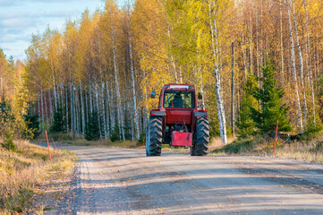 A red tractor drives along a dirt country road past a golden birch grove © olgavisavi