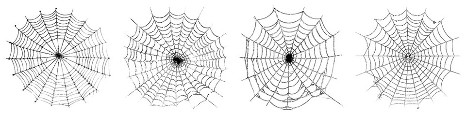 Obraz premium Spider web isolated on transparent background, Set of