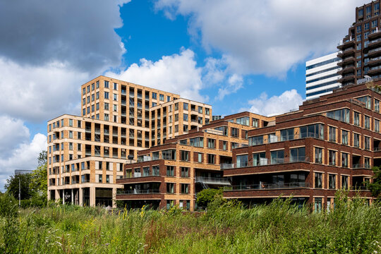 A charming collection of contemporary buildings harmonizing with a lush green environment, showcasing rich textures and vibrant colors surrounded by nature's elements in Amsterdam 
