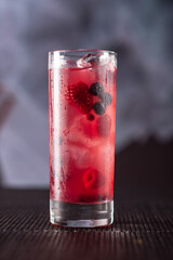 tasty cocktail in the bar