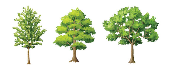 Fototapeta premium Set of green tree watercolor illustration on white background