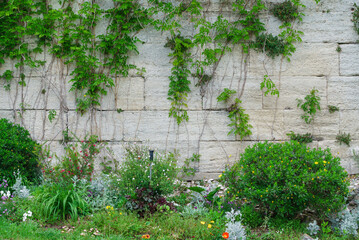 beautiful front garden with plants