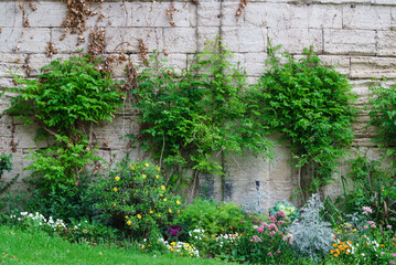 beautiful front garden with plants
