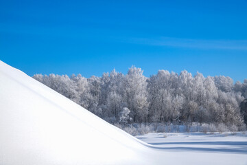 Winter, frosty and sunny mornings. Winter landscape and trees in the frost. Lots of free space for your text.