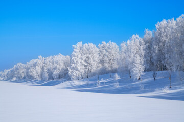 Winter, frosty and sunny mornings. Winter landscape and trees in the frost. Lots of free space for your text.