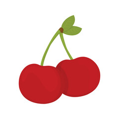 Fruit Vector Illustration - Cherry