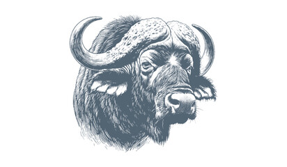 Buffalo Vector
