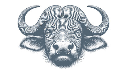 Buffalo Vector