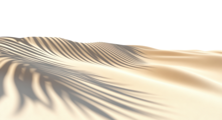 Minimalistic sandy landscape featuring subtle patterns and palm leaf shadows, isolated on a transparent background

