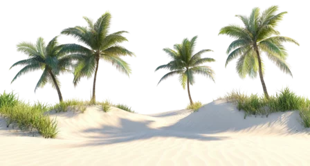 Selbstklebende Fototapeten Tranquil sandy beach with shadows cast by tall coconut trees, evoking a sense of relaxation and paradise, isolated on a transparent background © PNGuin Studio