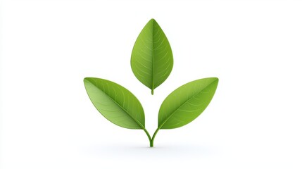 Fototapeta premium Green Leaves in Minimalist Style Symbolizing Nature and Growth Against White Background for Eco-Friendly Concepts and Sustainability Themes