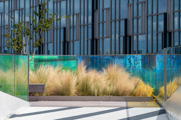 A serene green space filled with ornamental grasses stands harmoniously against modern glass architecture, showcasing the integration of nature within urban environments.