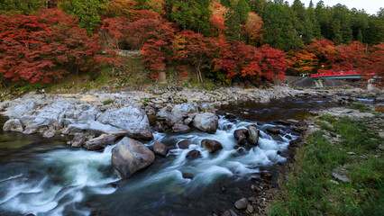 stream water at Korankei park in japan