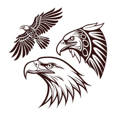 Obraz premium eagle head isolated on white