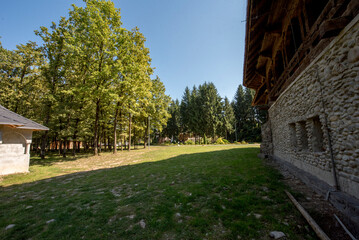 autumn in the park