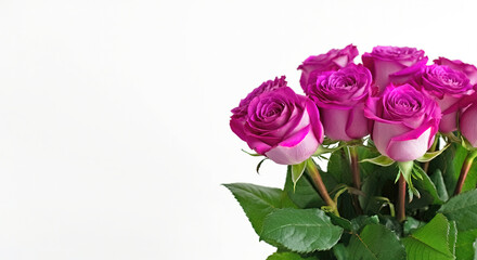 Fototapeta premium Bouquet of pink roses with green leaves, white background, horizontal, copy space