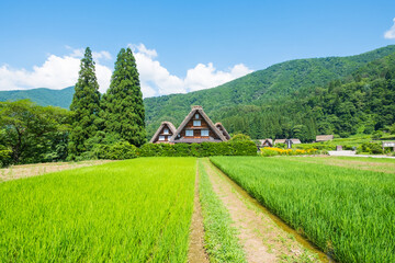 白川郷