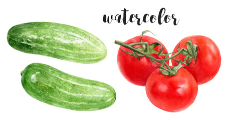 Hand-Painted Watercolor Tomatoes and Cucumbers Botanical Illustration Isolated on White