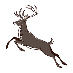 deer on the white background