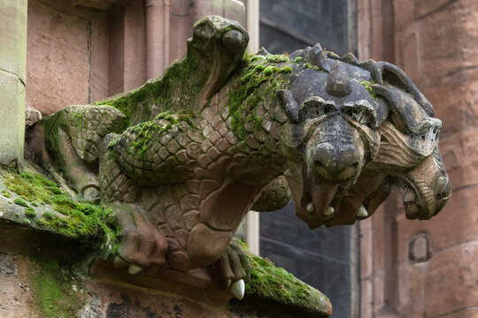 Lichfield Cathedral Gargoyle with Moss and Cobwebs