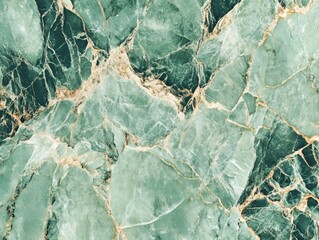 Fototapeta premium This is a close up view showcasing a detailed green marble texture
