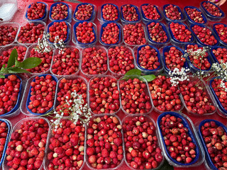 berries