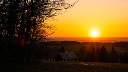 Fototapety na wymiar - Fototapeta24.pl