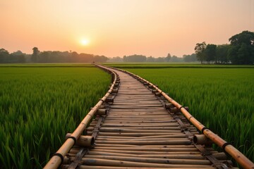 Obraz premium Serene Bamboo Bridge at Sunrise Amidst Lush Green Rice Fields with Scenic Landscape and Soft Warm Light Illuminating the Horizon