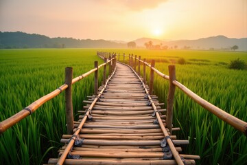 Scenic Bamboo Bridge Over Lush Green Rice Field at Sunset, Capturing the Tranquility of Rural Landscapes and Natural Beauty in a Serene Environment