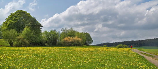 Fototapeta premium Joggen in der Eifel im Frühling