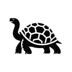 Graphic sea turtle. Vector illustration
