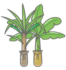 Wedding timeline thai icons set. thailand wedding ceremony icon.