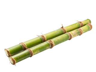 Fototapeta premium Sugar cane isolated on white background 