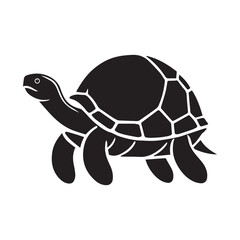 It's an illustration of a turtle
