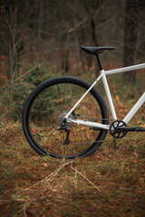 Photo of a bicycle in the forest. Travel background