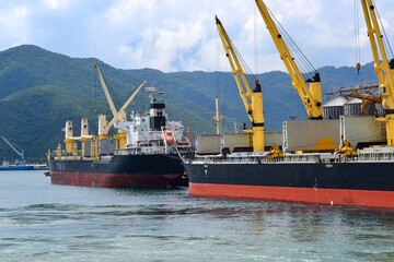 Fototapeta premium Bustling Port with Cargo Ships and Yellow Cranes in Coastal Setting