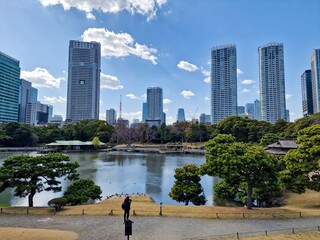Hamarikyu Gardens with Tokyo Tower and City Skyline in Background
