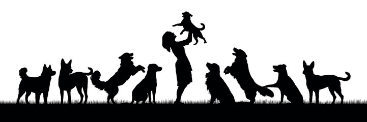 Woman lifting a puppy surrounded by group of dogs outdoor on grass field black silhouettes.