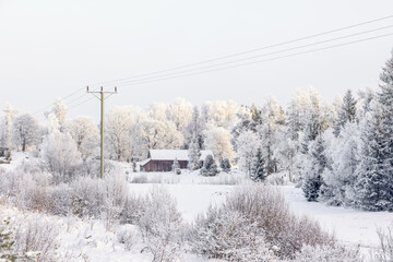 Power line and a barn in a snowy landscape in the winter © Lars Johansson