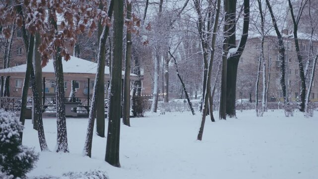 Winter park before New Year.