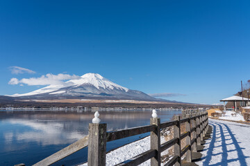 山中湖、長池親水公園から見る冬の富士山