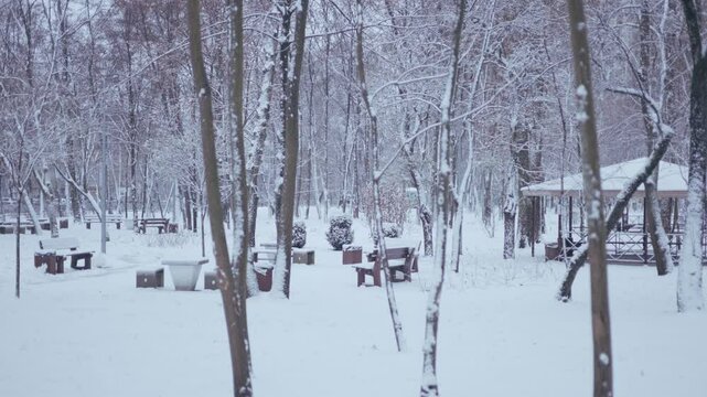 Winter park before New Year.