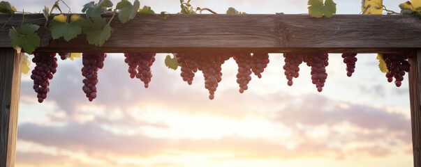 Obraz premium beautiful composition of ripe grape clusters hanging from wooden trellis against stunning sunset backdrop, evoking sense of tranquility and abundance