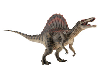 Spinosaurus ,dinosaur on white background .